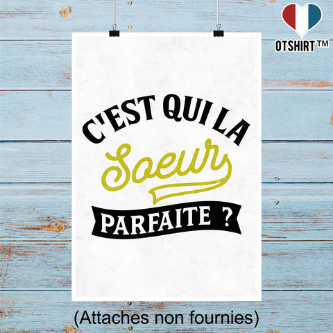 Affiche la soeur parfaite