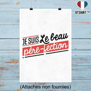 Affiche le beau père-fection