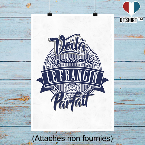 Affiche le frangin parfait