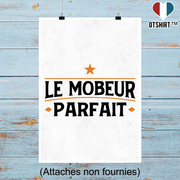 Affiche le mobeur parfait