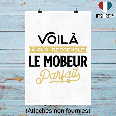 Affiche le mobeur parfait 2