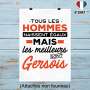 Affiche les meilleurs sont gersois