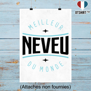 Affiche meilleur neveu