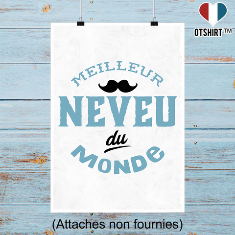 Affiche meilleur neveu du monde