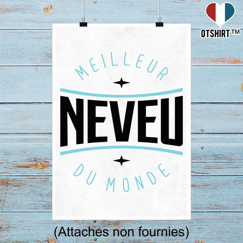 Affiche meilleur neveu