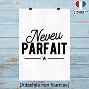 Affiche neveu parfait