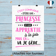 Affiche princesse et apprentie