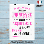 Affiche princesse et architecte