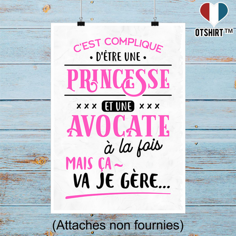 Affiche princesse et avocate