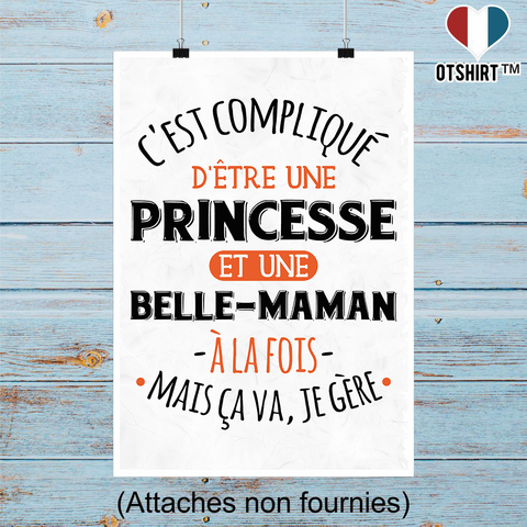 Affiche princesse et belle-maman