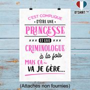Affiche princesse et criminologue
