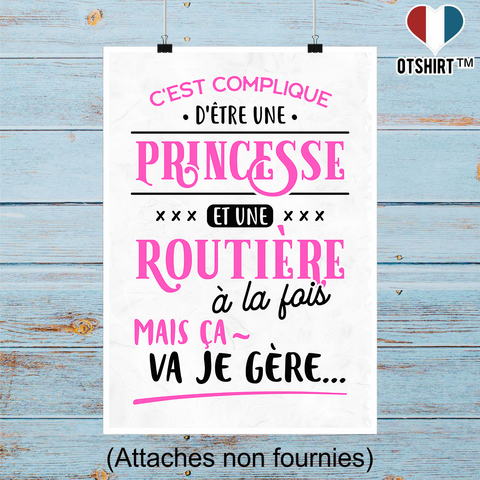 Affiche princesse et routière