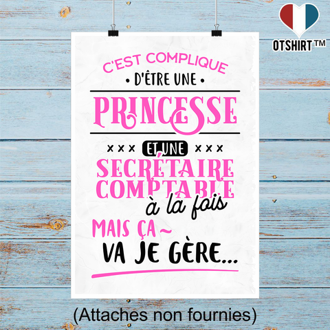 Affiche princesse et secrétaire comptable