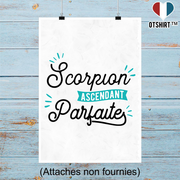 Affiche scorpion ascendant parfaite