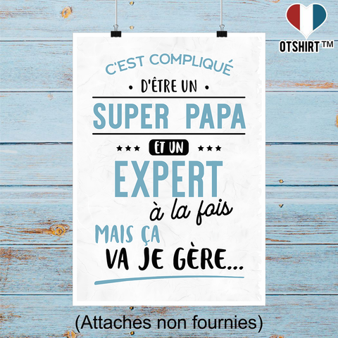 Affiche super papa et expert