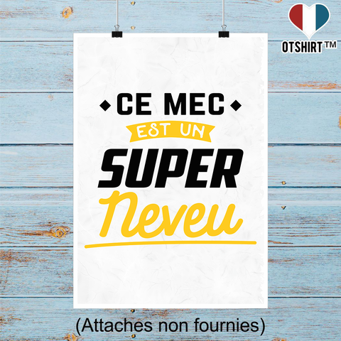 Affiche un super neveu