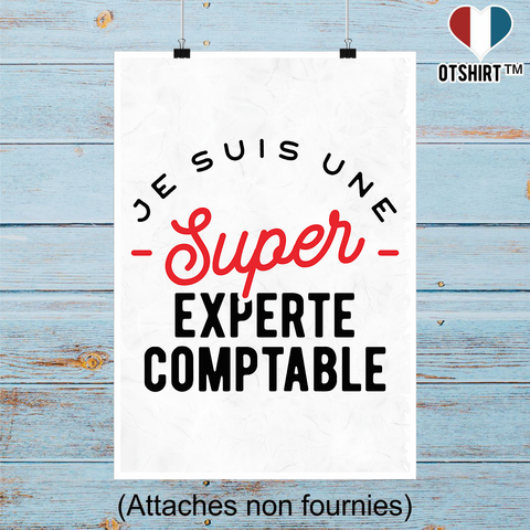 Affiche une super experte comptable