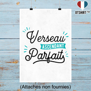 Affiche verseau ascendant parfait