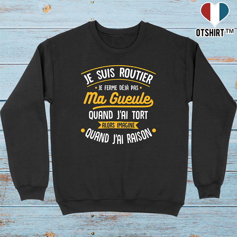 Pull homme j'ai raison je suis routier