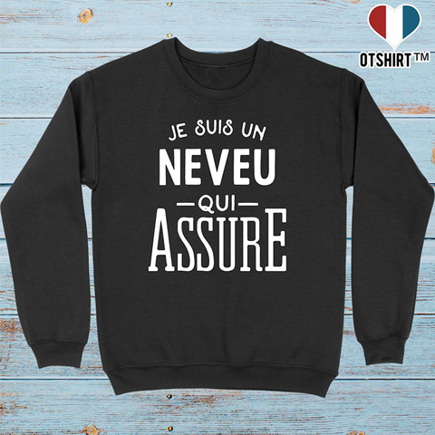 Pull homme je suis un neveu qui assure