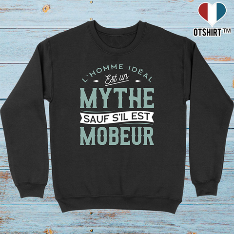 Pull homme l'homme idéal est mobeur