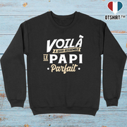Pull homme le papi parfait