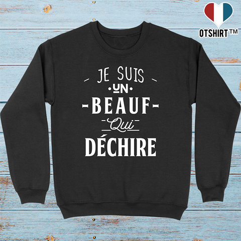 Pull homme un beauf qui déchire 2