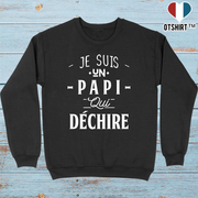 Pull homme un papi qui déchire 3