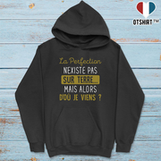 Sweat à capuche homme la perfection n'existe pas