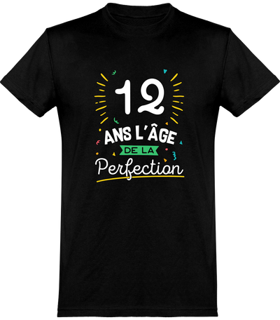  T shirt homme 12 ans la perfection