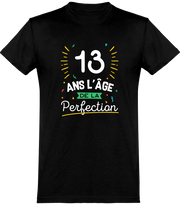  T shirt homme 13 ans la perfection