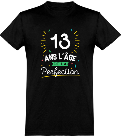  T shirt homme 13 ans la perfection