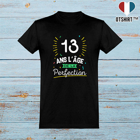  T shirt homme 13 ans la perfection