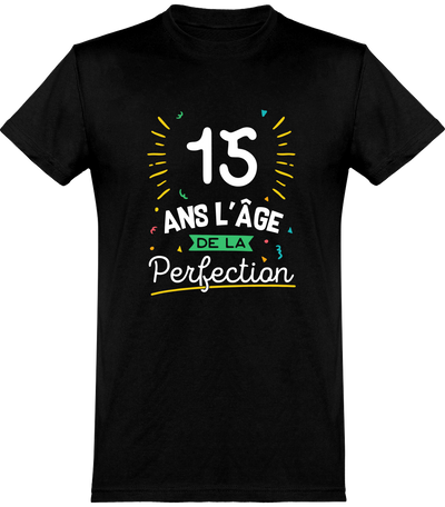 T shirt homme 15 ans la perfection