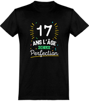  T shirt homme 17 ans la perfection