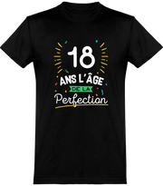  T shirt homme 18 ans la perfection