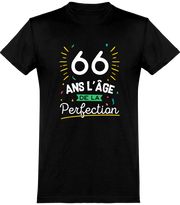  T shirt homme 66 ans la perfection