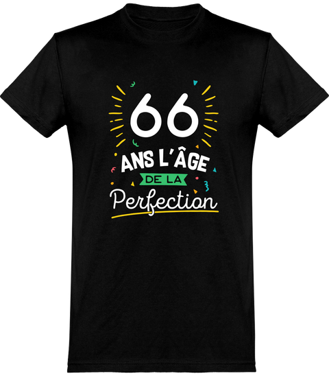  T shirt homme 66 ans la perfection