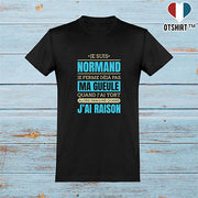  T shirt homme j ai raison je suis normand