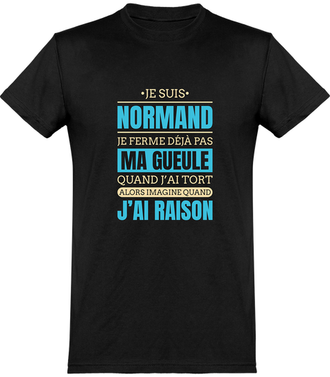  T shirt homme je suis normand