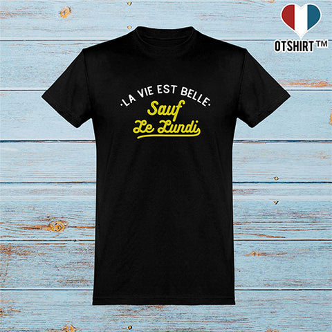  T shirt homme la vie est belle