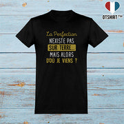  T shirt homme la perfection n'existe pas