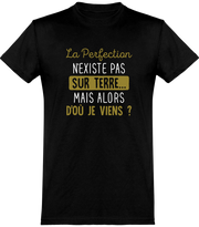  T shirt homme la perfection n'existe pas