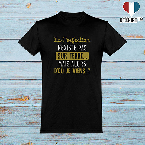  T shirt homme la perfection n'existe pas