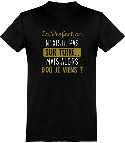  T shirt homme la perfection n'existe pas