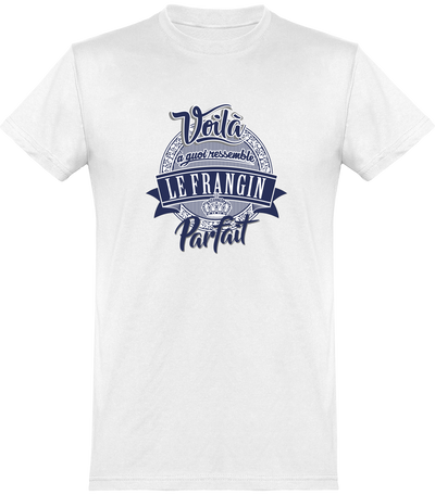 T shirt homme le frangin parfait