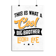 Affiche a cool big brother