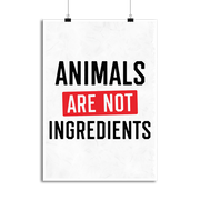 Affiche animals are not