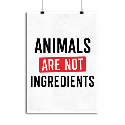 Affiche animals are not