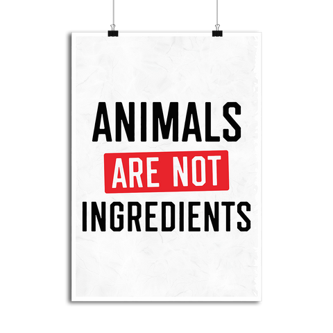 Affiche animals are not